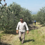 torretta-daniele-provenza