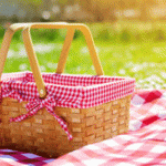 picnic-2