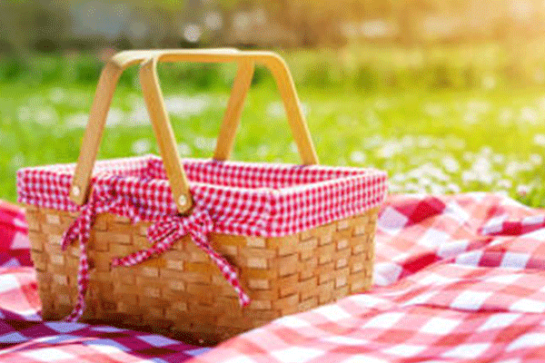 picnic