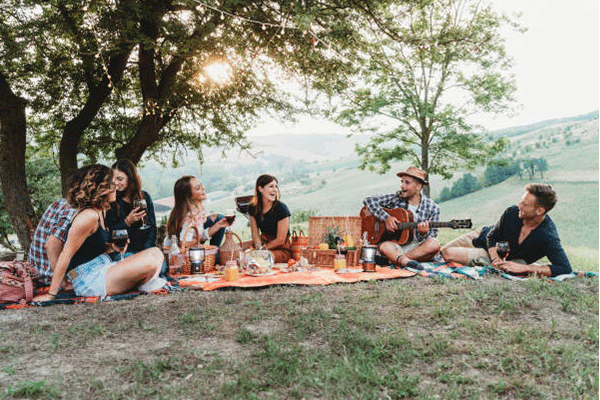 picnic