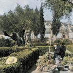 cucina-monastica