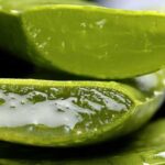 aloe2