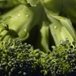 broccoli0