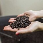 campana_caffe6