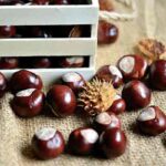 castagne