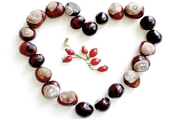 castagne
