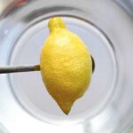cedro