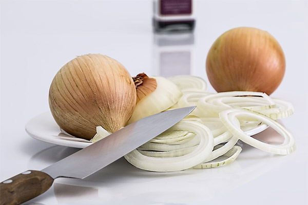 cipolla