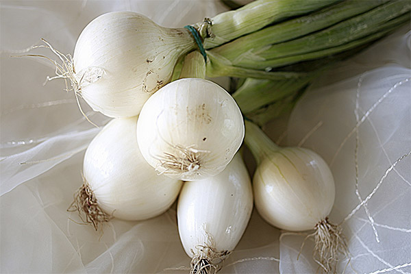 aglio