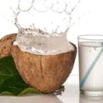cocco1