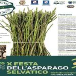 festa_asparago
