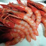 gamberi