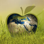 green_economy2