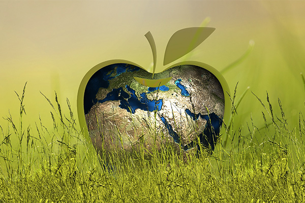 gastronomia sostenibile green economy