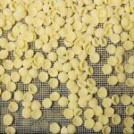 pasta00-2