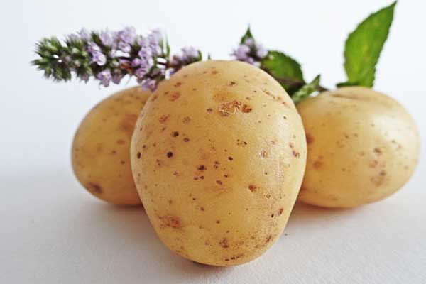 frittata di patate