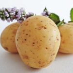 patata2-3