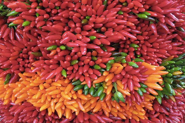 nduja