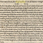 sfogliatella pergamena bartolomeo scappi