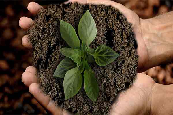 Agricoltura biodinamica giornata della gastronomia sostenibile terra agricoltura