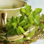 tisana-2
