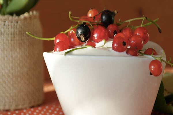 skyr