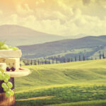 Red wine with barrel on vineyard in green Tuscany, Italy