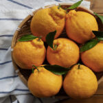 agrumi