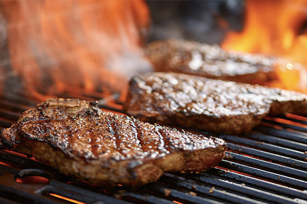 magnesio