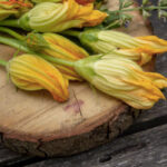 fiori_eduli