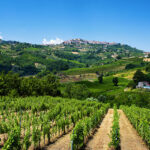 vigna_montefusco_mastroberardino