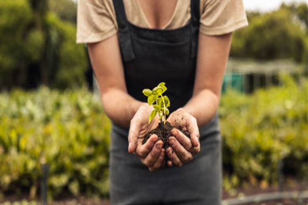 giornata mondiale della biodiversità