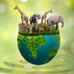 Giornata-mondiale-della-biodiversita-3