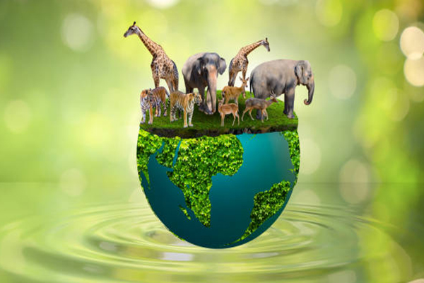 giornata mondiale della biodiversità
