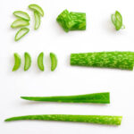 aloe-vera-2