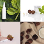 castagne-bellezza