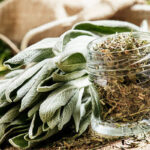salvia-2