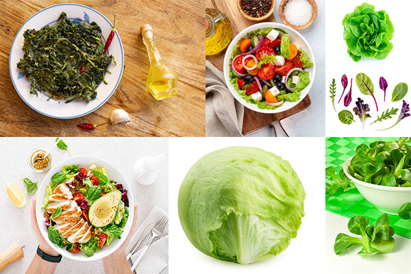 insalata