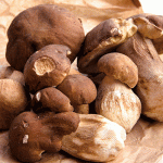 funghi-porcini-1