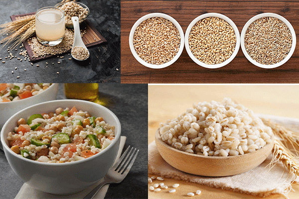 orzo