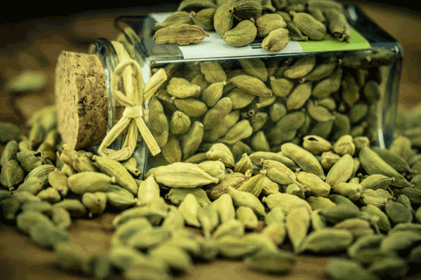 cardamomo