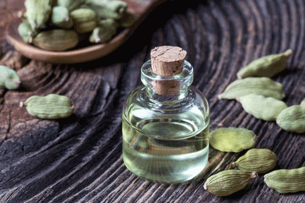 cardamomo