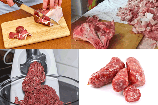 cinghiale