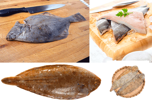 sogliola