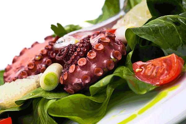 polpo all insalata