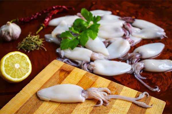 calamari