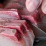 ricciola