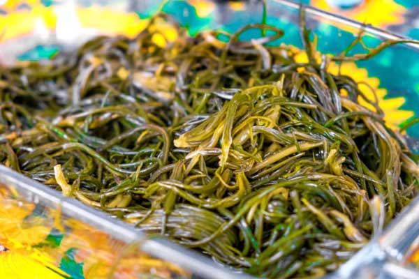 agretti