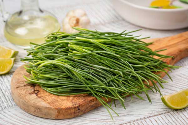 agretti agretti